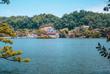 Kandy See