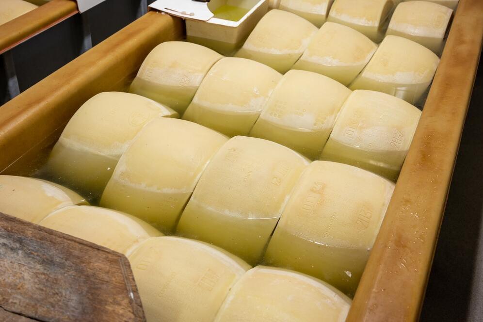Herstellungsprozess von Parmigiano Reggiano