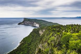 Kanada 15 Tage Rundreise, Höhepunkte im Osten, Felsklippen von Cape Gaspe