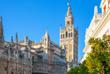 Kathedrale von Sevilla
