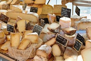 Käseauswahl auf dem Markt von Aix-en-Provence