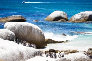 Boulders Beach