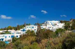 Blick auf typische Häuser in Sidi Bou Said