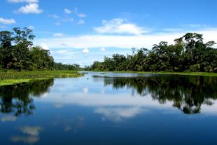 Kanäle im Tortuguero Nationalpark