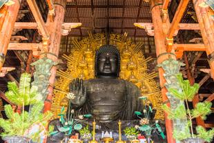 Daibutsu Nara