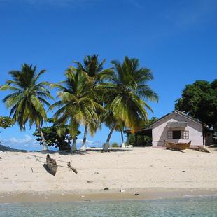 Paradiesisch: Häuschen zwischen Palmen am Strand.