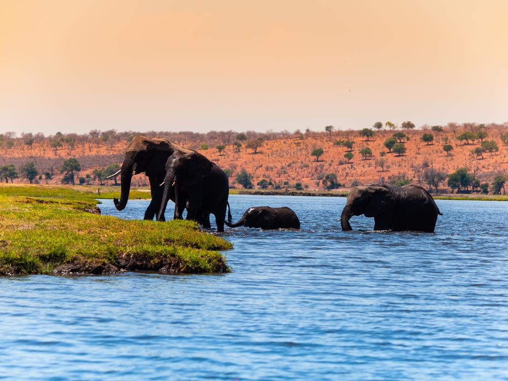 Botswana Reisen