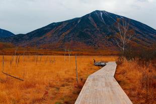 Herbstlandschaft im Nikko Nationalpark