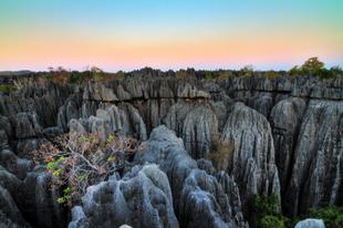 Tsingy de Bemaraha