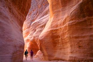 Canyon in Petra