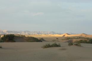 Wüstenlandschaft in Jordanien