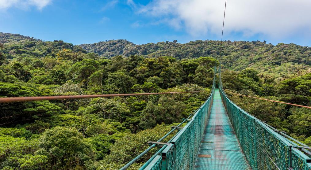 Hängebrücke im Monteverde Nationalpark, Costa Rica