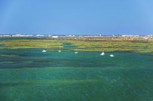 Hafen von Faro 