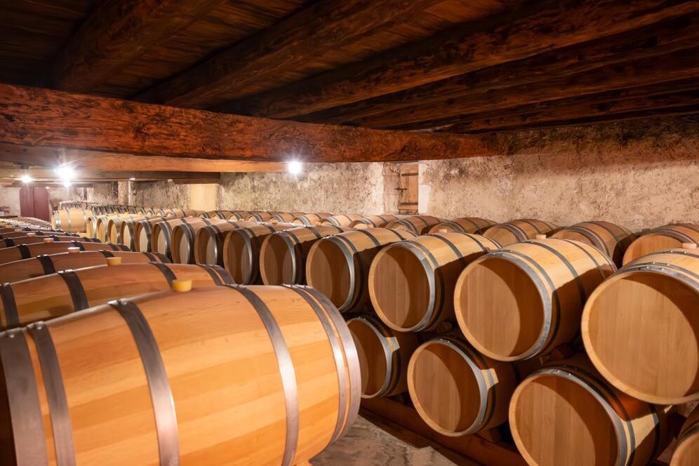 Wein in Holzfässern gelagert