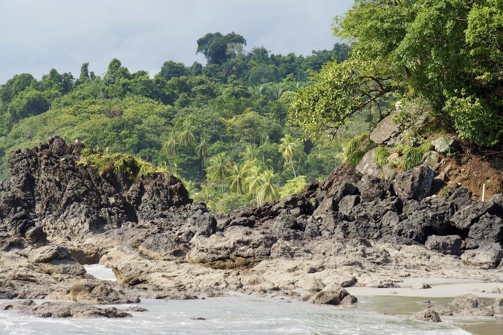 Manuel Antonio Nationalpark 