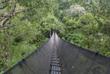 Canopy Walkway im Amazonas 