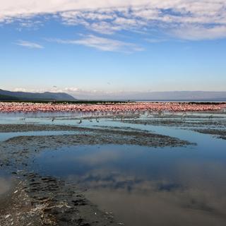 Ngorongoro-Krater