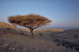 Musandam