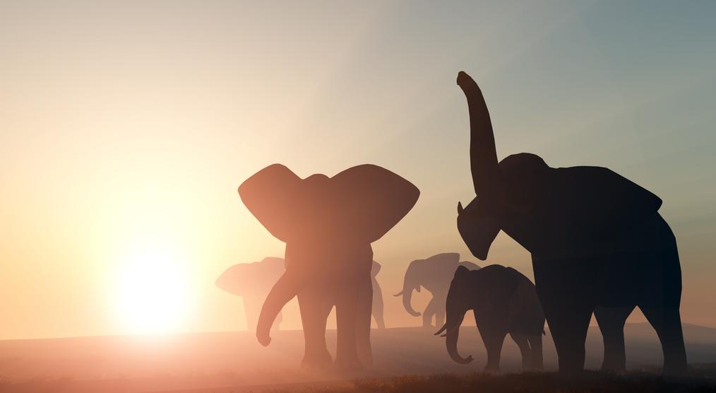 Afrika Studienreisen