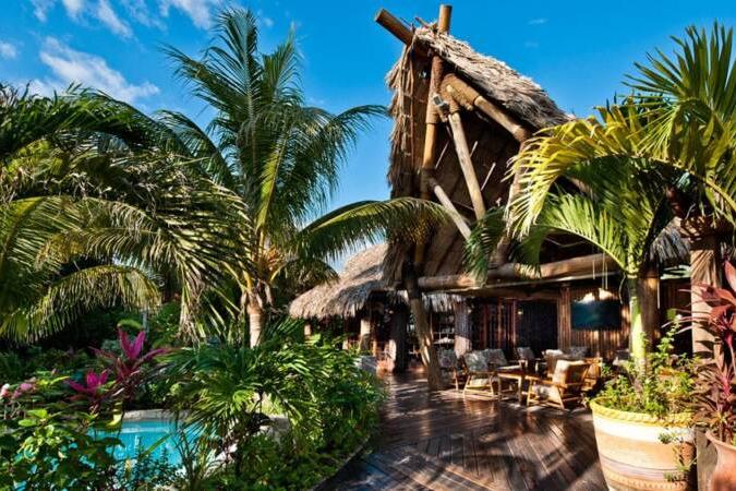 Café: Tropic Al’s
