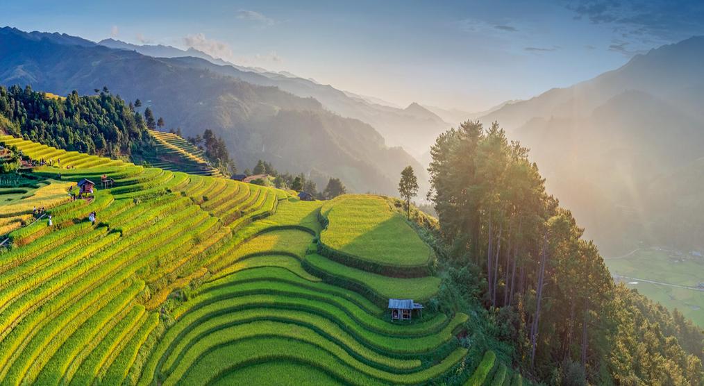 Die Reisterrassen von Mu Cang Chai