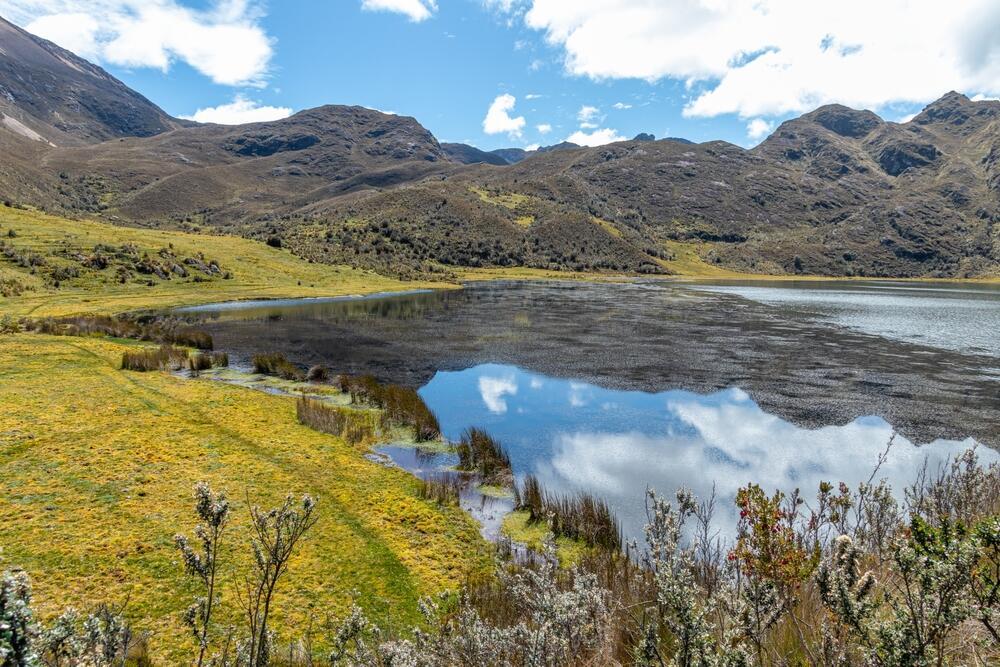 Cajas Nationalpark