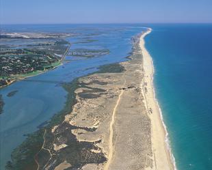 Ria Formosa