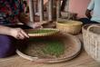 Pfefferplantage