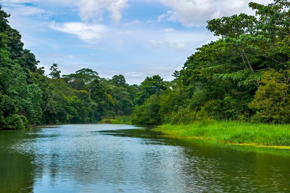 Kanal im Tortuguero Nationalpark 