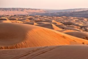 Sanddünen der Wahiba Wüste