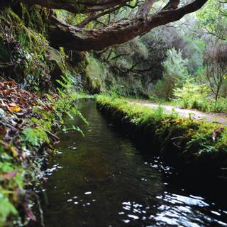 Typische Levada