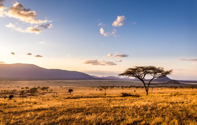 Sonnenuntergang im Tsavo East