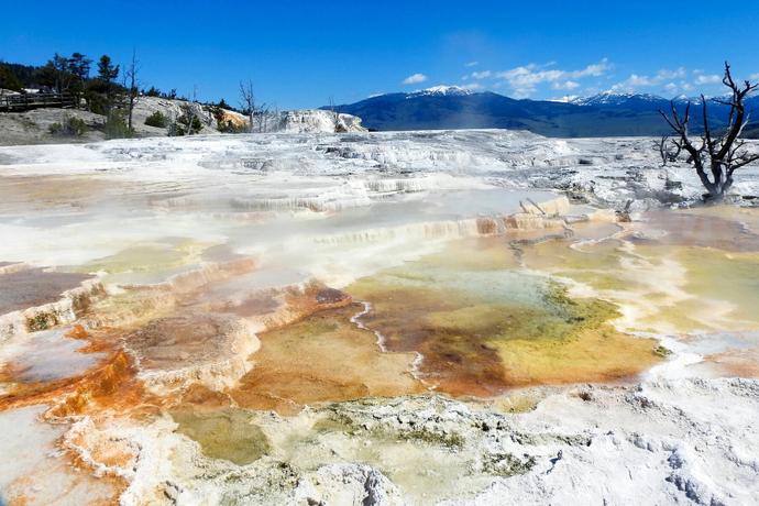 Blick auf den Mammoth Hot Spring im Yellowstone-Nationalpark in den USA