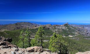 Wanderung zu den höchsten Bergen Gran Canarias