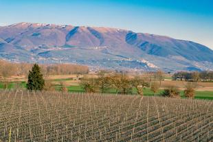 Weinregion Montefalco