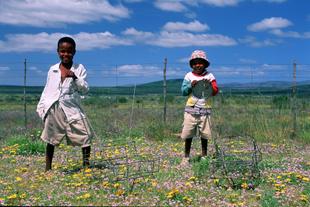 Kinder eines kleinen afrikanischen Dorfes 