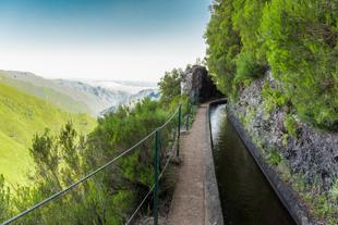 Levada do Alecrim