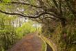 Wandern entlang der Serra do Faial