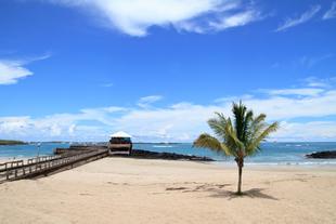 Strand der Galapagos Inseln