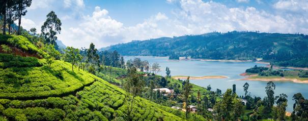 Sri Lanka, Nuwara Eliya