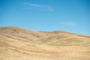 Hustai Nationalpark