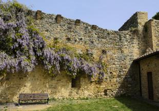 Alte Steinwand