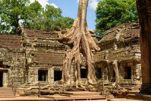 Tempel Ta Prohm