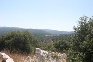 Ajlun Gebiet