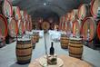 Weinprobe in Tuzi