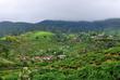 Lanka Nuwara Eliya 