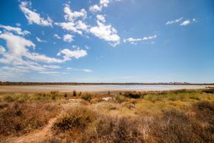 Ria Formosa 