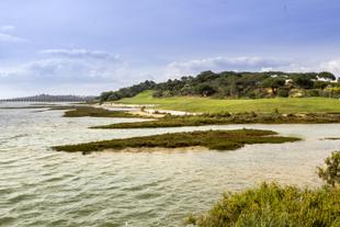 Ria Formosa 