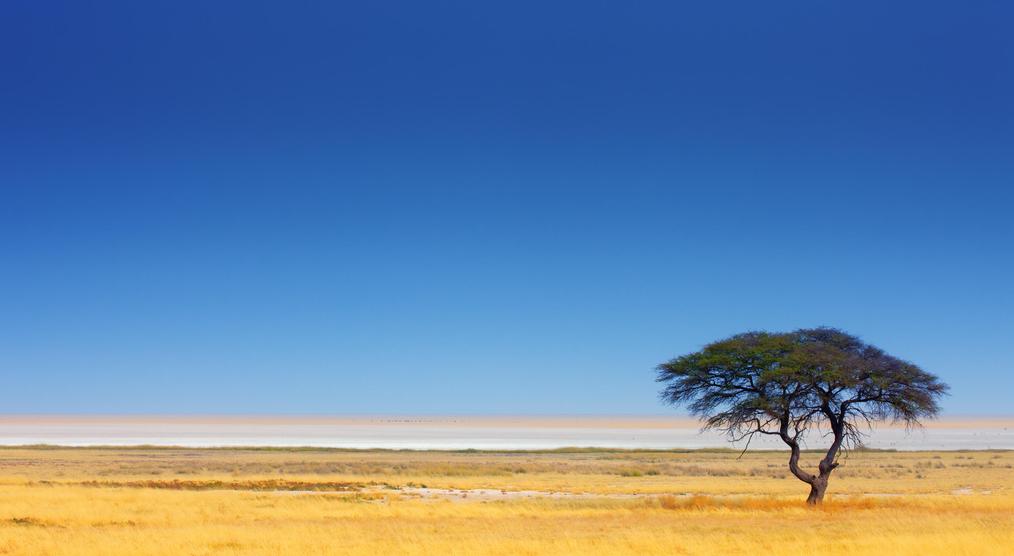 Etosha Nationalpark
