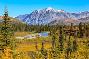 Denali Nationalpark 